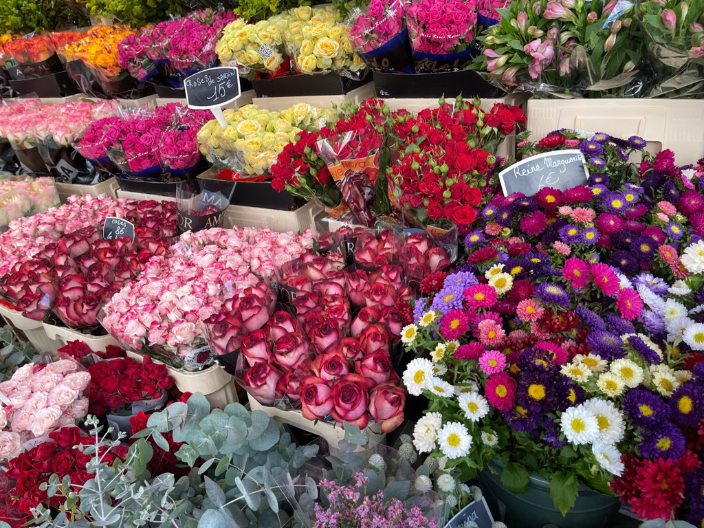 Flowers